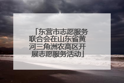 东营市志愿服务联合会在山东省黄河三角洲农高区开展志愿服务活动