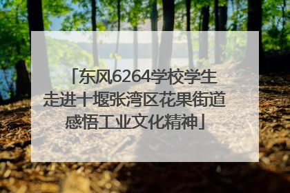 东风6264学校学生走进十堰张湾区花果街道感悟工业文化精神