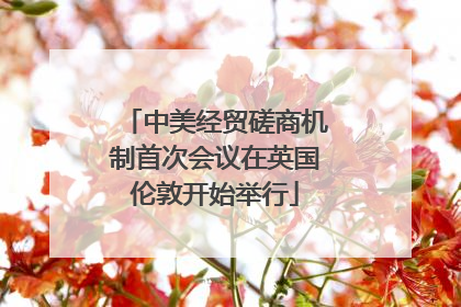中美经贸磋商机制首次会议在英国伦敦开始举行