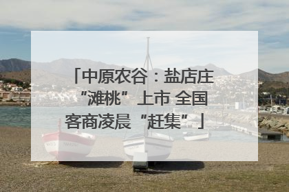 中原农谷：盐店庄“滩桃”上市 全国客商凌晨“赶集”