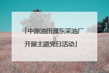 中原油田濮东采油厂开展主题党日活动