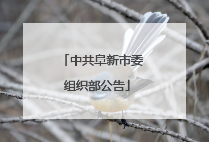 中共阜新市委组织部公告