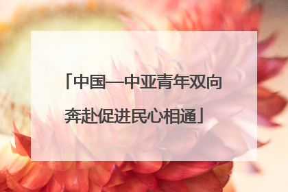 中国—中亚青年双向奔赴促进民心相通