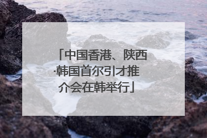 中国香港、陕西·韩国首尔引才推介会在韩举行