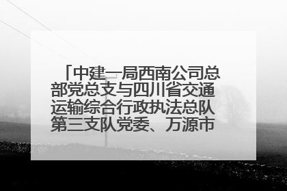 中建一局西南公司总部党总支与四川省交通运输综合行政执法总队第三支队党委、万源市草坝镇莲花院村党支部开展党建联建