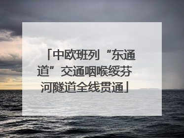 中欧班列“东通道”交通咽喉绥芬河隧道全线贯通