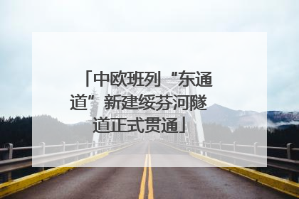 中欧班列“东通道”新建绥芬河隧道正式贯通