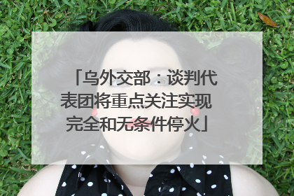 乌外交部：谈判代表团将重点关注实现完全和无条件停火
