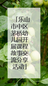 乐山市中区茅桥幼儿园开展课程故事交流分享活动