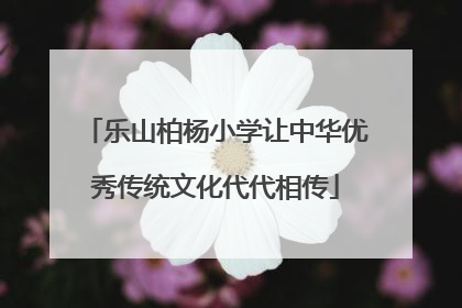 乐山柏杨小学让中华优秀传统文化代代相传