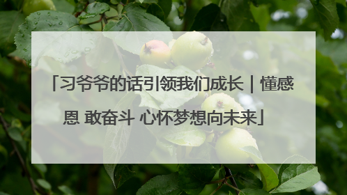 习爷爷的话引领我们成长｜懂感恩 敢奋斗 心怀梦想向未来