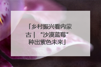 乡村振兴看内蒙古｜“沙漠蓝莓”种出紫色未来