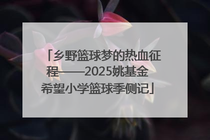 乡野篮球梦的热血征程——2025姚基金希望小学篮球季侧记
