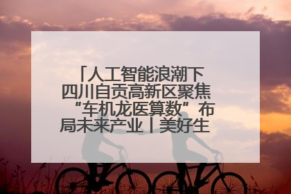 人工智能浪潮下 四川自贡高新区聚焦“车机龙医算数”布局未来产业丨美好生活有“盐”味