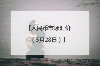 人民币市场汇价（5月28日）