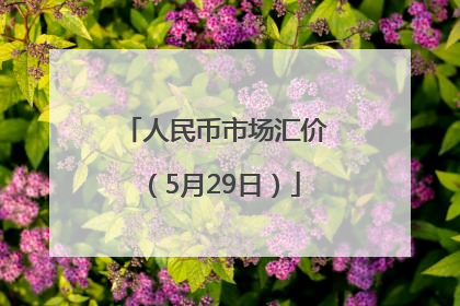人民币市场汇价（5月29日）