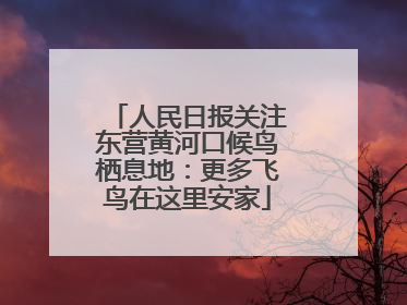 人民日报关注东营黄河口候鸟栖息地：更多飞鸟在这里安家
