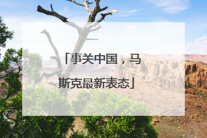 事关中国，马斯克最新表态