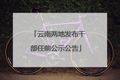 云南两地发布干部任前公示公告