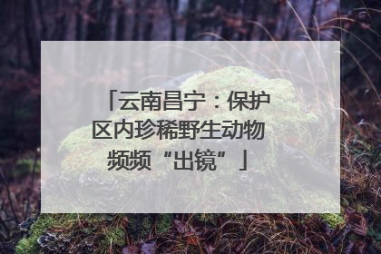 云南昌宁：保护区内珍稀野生动物频频“出镜”