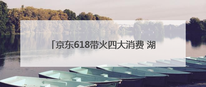 京东618带火四大消费 湖北购物用户数全国排名第9名