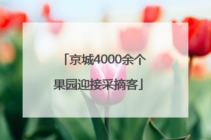 京城4000余个果园迎接采摘客