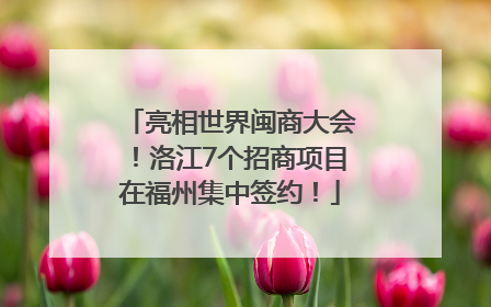 亮相世界闽商大会！洛江7个招商项目在福州集中签约！