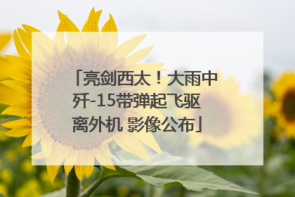 亮剑西太！大雨中歼-15带弹起飞驱离外机 影像公布