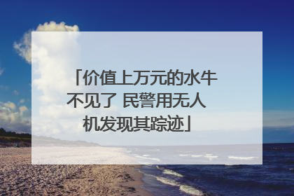 价值上万元的水牛不见了 民警用无人机发现其踪迹