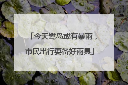 今天鹭岛或有暴雨，市民出行要备好雨具