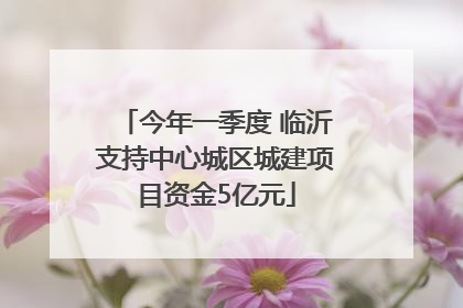 今年一季度 临沂支持中心城区城建项目资金5亿元