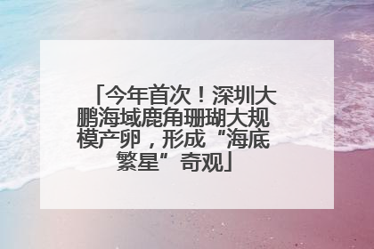 今年首次！深圳大鹏海域鹿角珊瑚大规模产卵，形成“海底繁星”奇观
