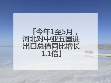 今年1至5月，河北对中亚五国进出口总值同比增长1.1倍