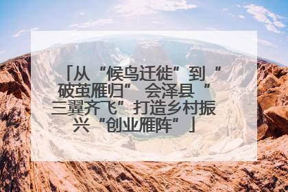 从“候鸟迁徙”到“破茧雁归” 会泽县“三翼齐飞”打造乡村振兴“创业雁阵”