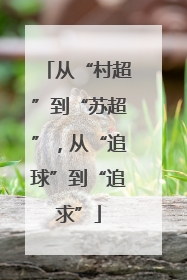 从“村超”到“苏超”，从“追球”到“追求”