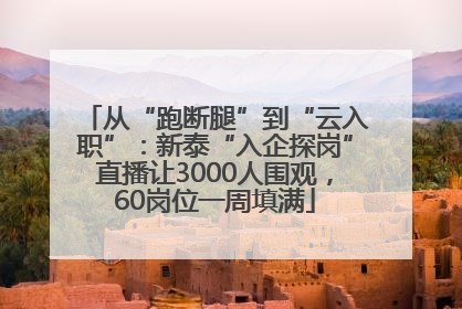 从“跑断腿”到“云入职”：新泰“入企探岗”直播让3000人围观，60岗位一周填满