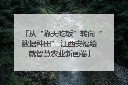 从“靠天吃饭”转向“数据种田” 江西安福绘就智慧农业新画卷