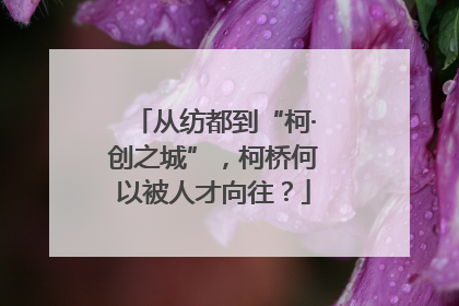从纺都到“柯·创之城”，柯桥何以被人才向往？