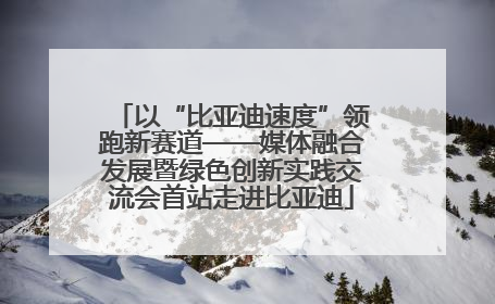 以“比亚迪速度”领跑新赛道——媒体融合发展暨绿色创新实践交流会首站走进比亚迪