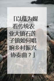 以瓜为媒 看传统农业大镇石莲子镇如何唱响乡村振兴协奏曲？