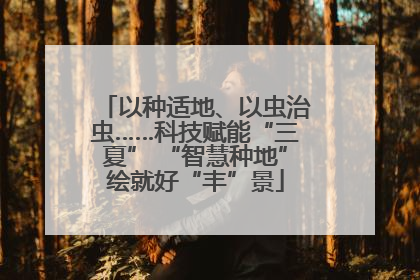 以种适地、以虫治虫……科技赋能“三夏” “智慧种地”绘就好“丰”景