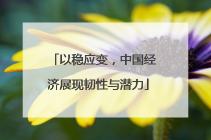 以稳应变，中国经济展现韧性与潜力