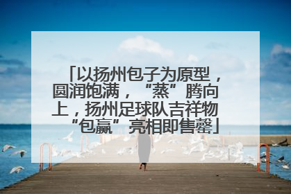 以扬州包子为原型，圆润饱满，“蒸”腾向上，扬州足球队吉祥物“包赢”亮相即售罄