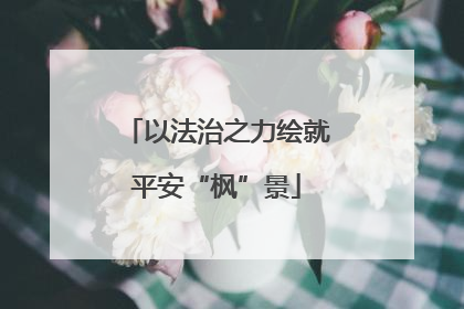 以法治之力绘就平安“枫”景