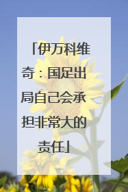伊万科维奇：国足出局自己会承担非常大的责任
