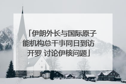 伊朗外长与国际原子能机构总干事同日到访开罗 讨论伊核问题