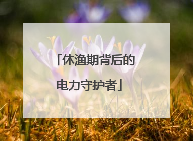 休渔期背后的电力守护者
