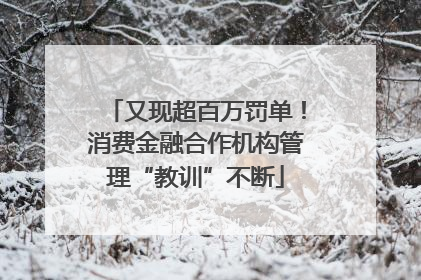 又现超百万罚单！消费金融合作机构管理“教训”不断