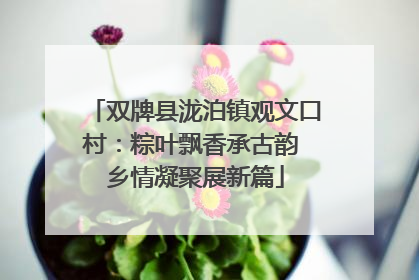 双牌县泷泊镇观文口村：粽叶飘香承古韵 乡情凝聚展新篇