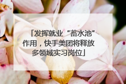 发挥就业“蓄水池”作用，快手美团将释放多领域实习岗位